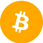 Asset icon