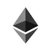 Asset icon