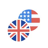Asset icon