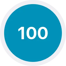 Asset icon