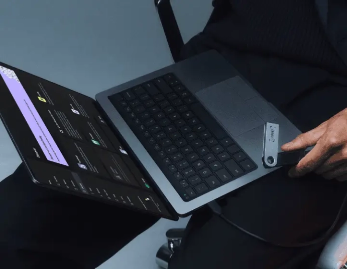 Что такое Ledger и зачем он нужен