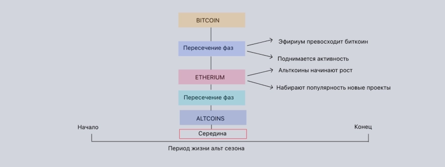 Тенденції криптовалютного ринку