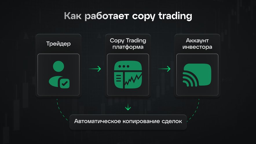Как работает автоматическая торговля крипта через copy trading