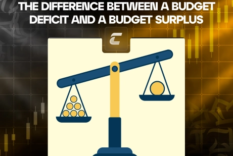 Різниця між дефіцитом і профіцитом бюджету