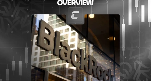 Огляд компанії BlackRock