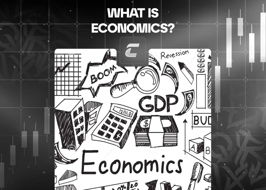 Что такое экономика?