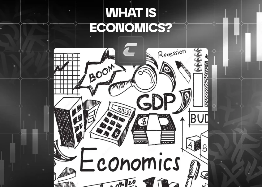 Що таке економіка?