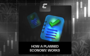 Что из себя представляет плановая экономика?