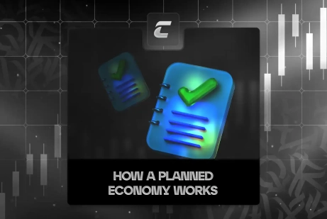 Что из себя представляет плановая экономика?