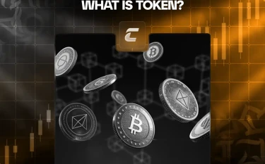 Что такое токены в криптовалюте и чем они отличаются от монет
