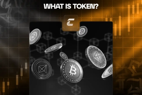 Что такое токены в криптовалюте и чем они отличаются от монет