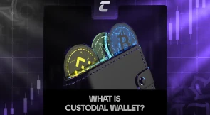 Що таке кастодіальний криптогаманець і навіщо він потрібен?