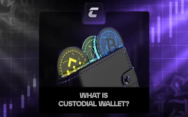 Что такое кастодиальный криптокошелек и зачем он нужен?
