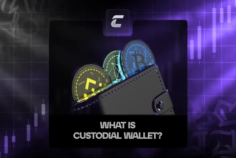 Что такое кастодиальный криптокошелек и зачем он нужен?