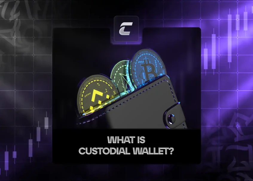Що таке кастодіальний криптогаманець і навіщо він потрібен?