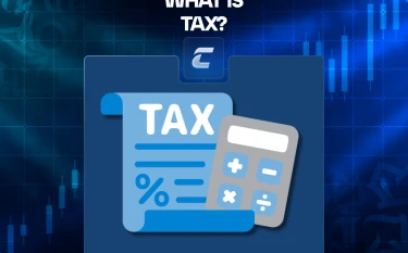 Что такое налог и как он влияет на экономику и каждого из нас?