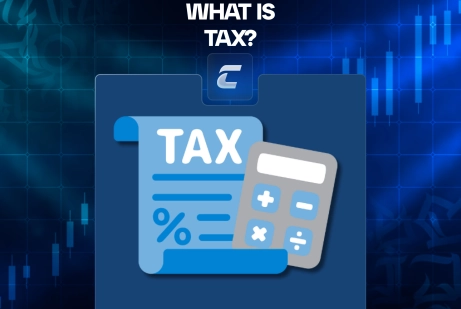 Что такое налог и как он влияет на экономику и каждого из нас?