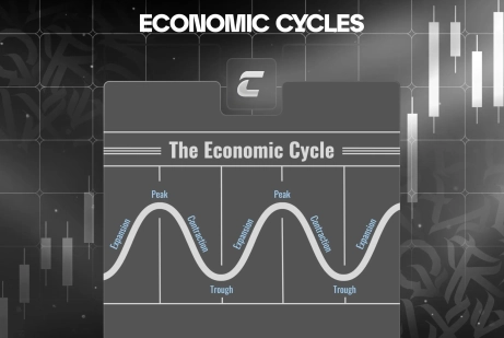 Что такое экономические циклы: фаза роста, пика, спада и восстановления