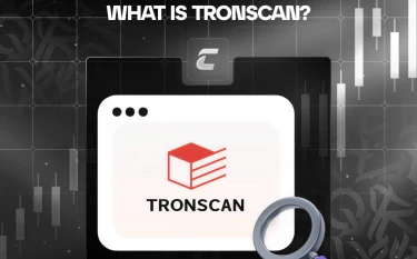 Что такое TronScan и как им пользоваться
