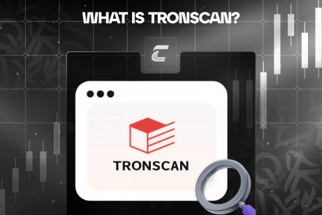 Что такое TronScan и как им пользоваться