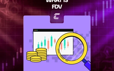 Полностью разводненная стоимость (FDV)