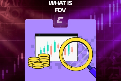 Полностью разводненная стоимость (FDV)