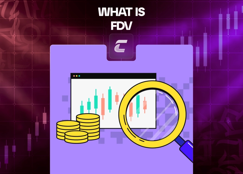 Полностью разводненная стоимость (FDV)