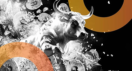 CIO Bitwise прогнозирует драйверы следующего bull market