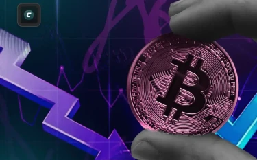 Hodl (ходл): чтo этo и зaчeм нужнo тpeйдepaм?