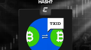 Хеш транзакції: що це, як перевірити та уникнути ризиків