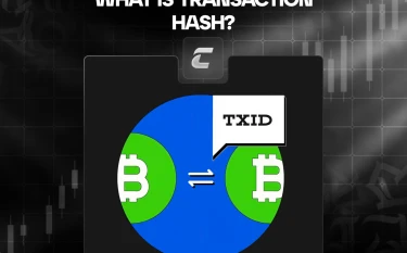 Хеш транзакции: что это, как проверить и избежать рисков