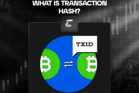 Хеш транзакции: что это, как проверить и избежать рисков