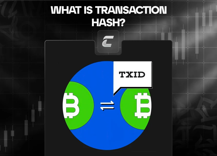 Хеш транзакции: что это, как проверить и избежать рисков
