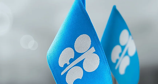 Добыча нефти OPEC выросла в июле