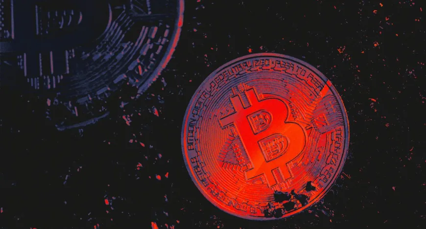 Количество новых Bitcoin-адресов выросло из-за эксплойта Coldcard