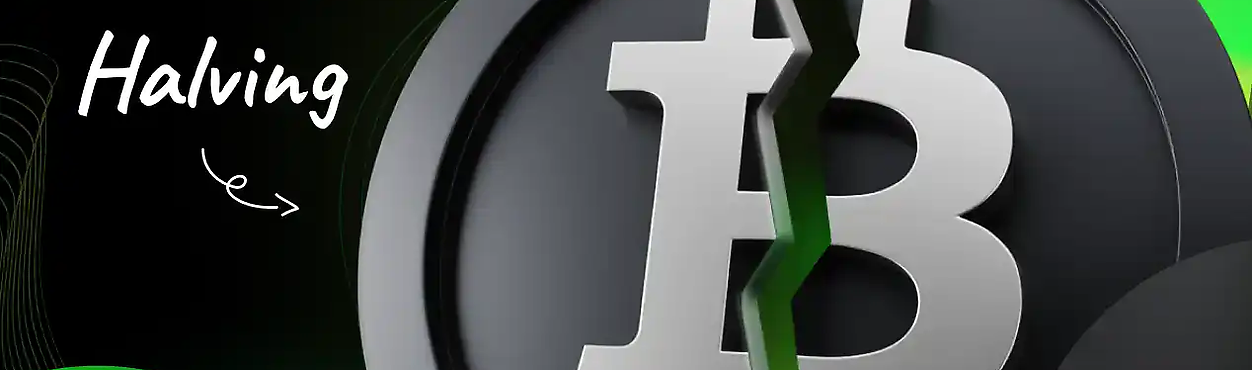 Халвінг BTC: усе, що потрібно знати