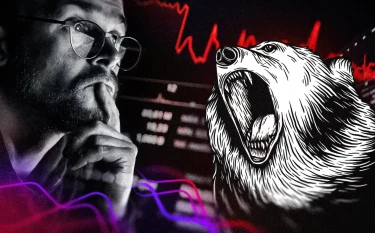 Как выжить на медвежьем рынке: или стратегии превращения трудностей в возможности