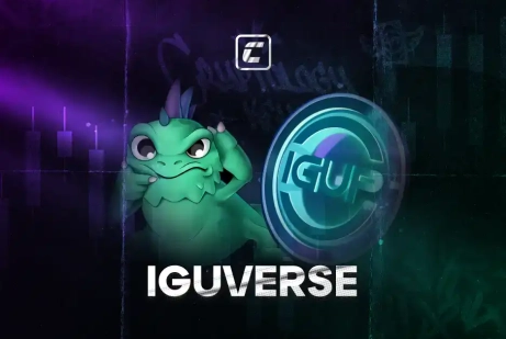 IguVerse: как инфлюенсеры зарабатывают на вас?