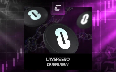 Обзор криптопроекта LayerZero