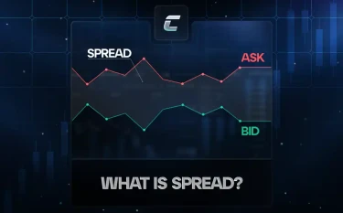 Спред в биржевой торговле: роль и значение