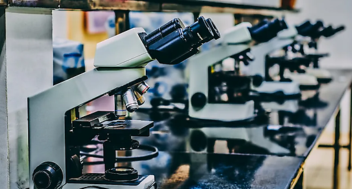 AnaptysBio отчитается о результатах второго квартала