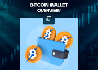 Биткоин кошелек: как создать, как пользоваться?