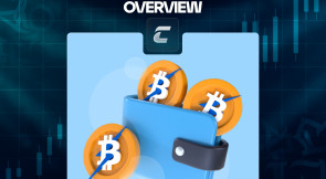 Биткоин кошелек: как создать, как пользоваться?