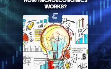 Микроэкономика: что это такое?