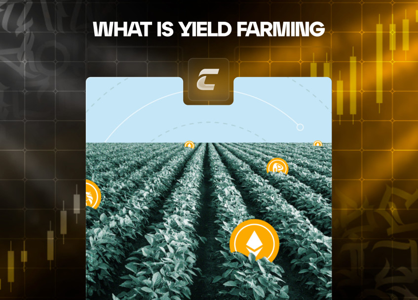 Що таке прибуткове фермерство (фармінг доходу) і як на ньому заробляти?