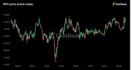 Zcash ETF від Grayscale перевищив $500 млн