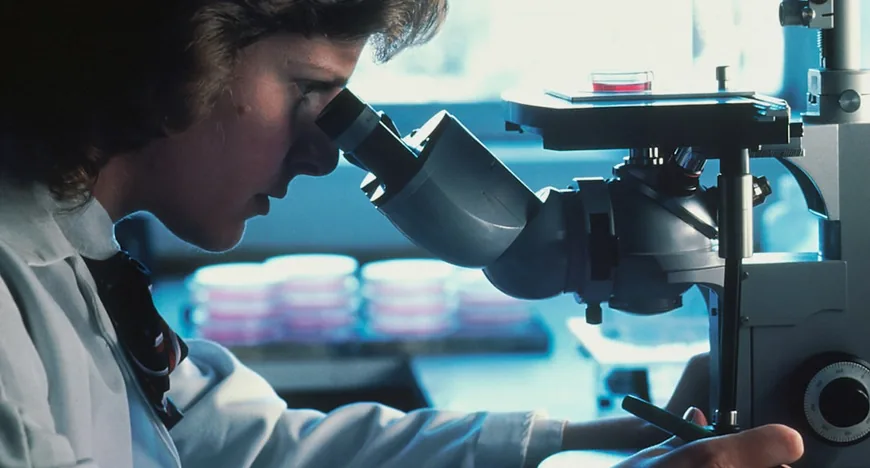 Phathom Pharmaceuticals прогнозує ріст виручки до $325 млн