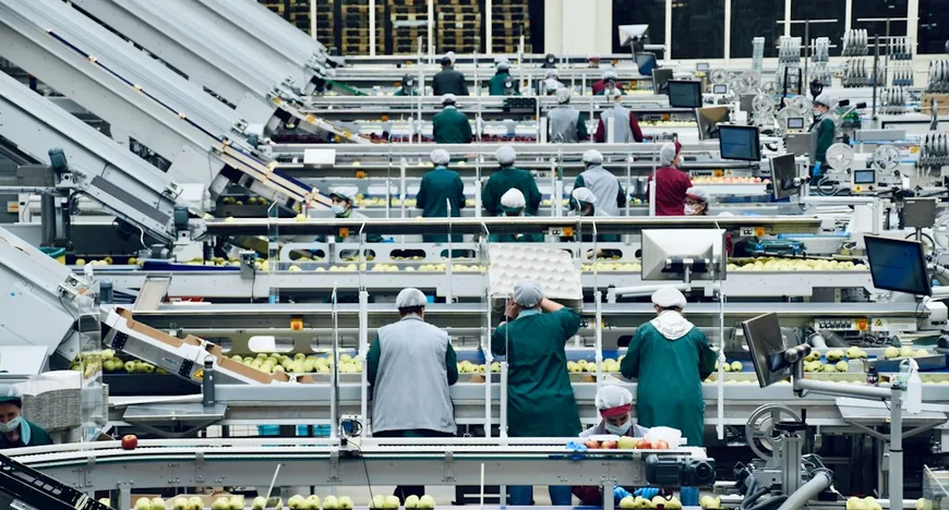 Акції GlobalFoundries зросли на 4.8% через плани будівництва заводу