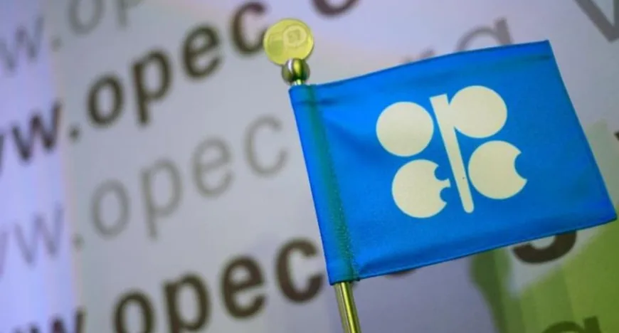 Криза лідерства в OPEC загрожує ринку нафти