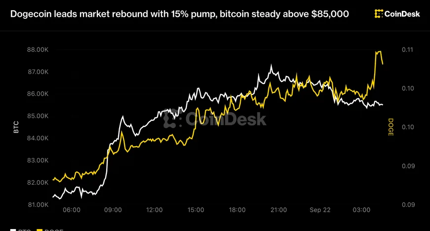 Dogecoin злетів на 15% через ліквідації шортів